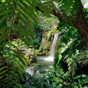 Natural Place